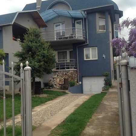 Blue House Apartment Nis Luaran gambar